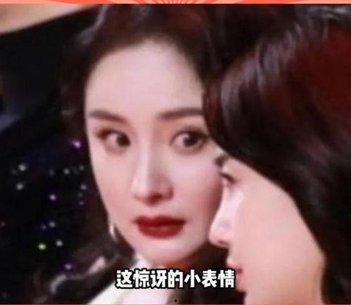 娱乐圈的瓜一般在哪里吃